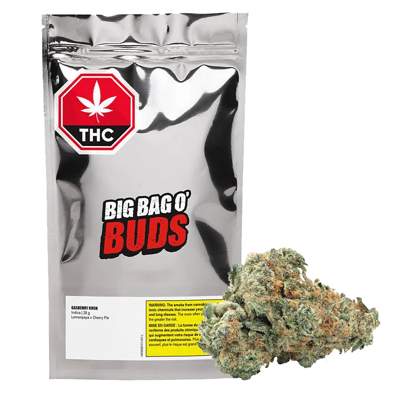 Front-facing silver pouch labeled "Big Bag O' Buds" with a THC octagon at top and a 28 g Gasberry Kush bud pictured at lower right.