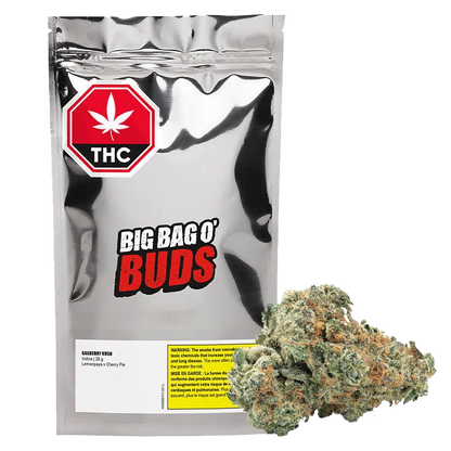 Front-facing silver pouch labeled "Big Bag O' Buds" with a THC octagon at top and a 28 g Gasberry Kush bud pictured at lower right.