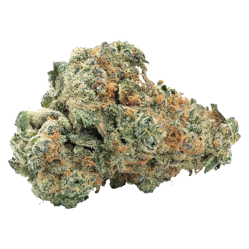 Close-up front view of a dense, frosty bud of Gasberry Kush showing green leaves, orange pistils, and crystalline trichomes.
