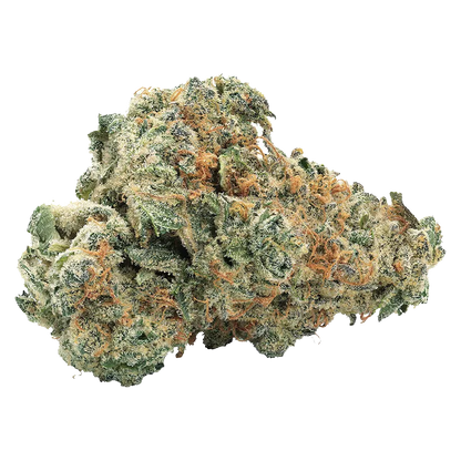 Close-up front view of a dense, frosty bud of Gasberry Kush showing green leaves, orange pistils, and crystalline trichomes.