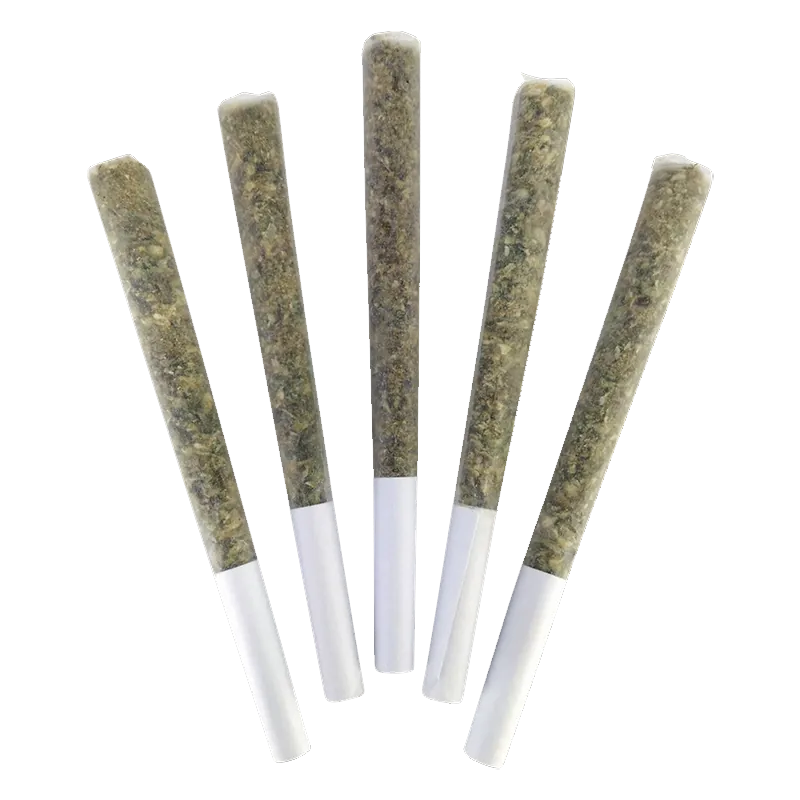 Top-down view of five cone-shaped pre-rolls arranged fan-like, showing the green herb and white tips of Hell's Retriever PR 5 x 0.5 g.