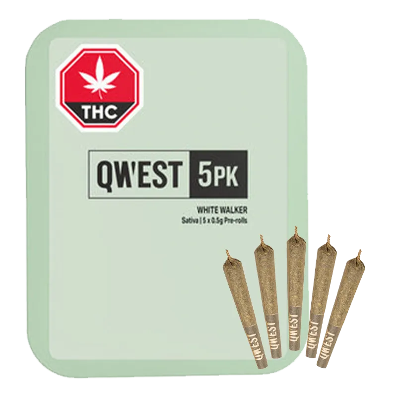 Square, mint-green QWEST White Walker PR 5 x 0.5 g tin shown front-on with five pre-rolled cones fanned at lower right.