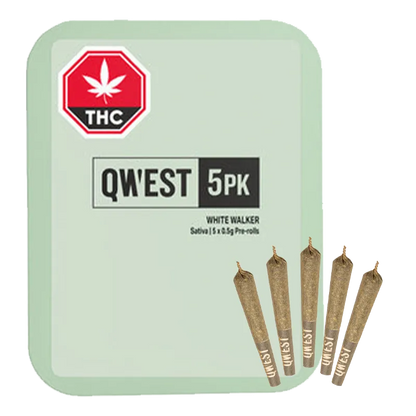 Square, mint-green QWEST White Walker PR 5 x 0.5 g tin shown front-on with five pre-rolled cones fanned at lower right.