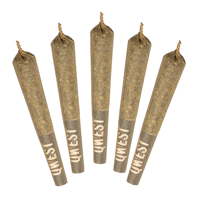 Top-down view of five cone-shaped White Walker PR 5 x 0.5 g pre-rolls fanned out with twisted tips and branded brown crutch ends.
