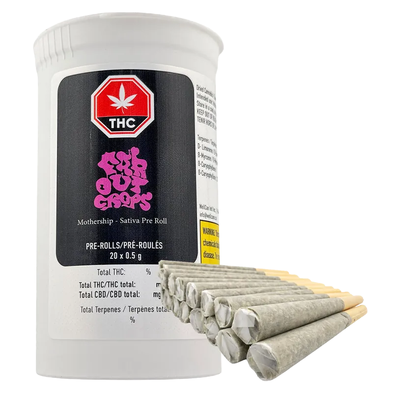Front-angle shot of a white tub and a fanned row of pre-rolls showing the Mothership 4 Strain Variety Pack PR 20 x 0.5 g label and sealed tips.