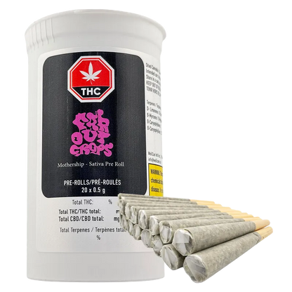 Front-angle shot of a white tub and a fanned row of pre-rolls showing the Mothership 4 Strain Variety Pack PR 20 x 0.5 g label and sealed tips.