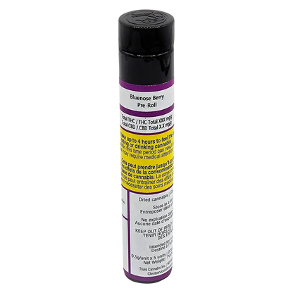 Tall cylindrical tube photographed upright on a white background showing the label of "Bluenose Berry PR 5 x 0.5 g" with a black cap and purple accents.