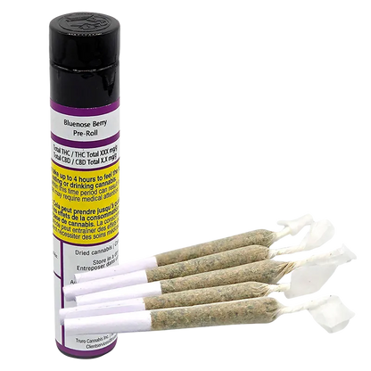 Angled view of five rolled joints fanned beside a standing black-and-purple tube labeled Bluenose Berry PR 5 x 0.5 g.