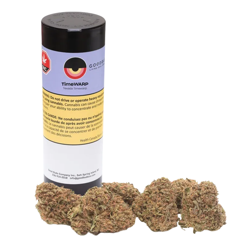 Cylindrical black-lidded TimeWARP container labeled Timewarp stands behind five loose, green-brown cannabis buds on a white background.