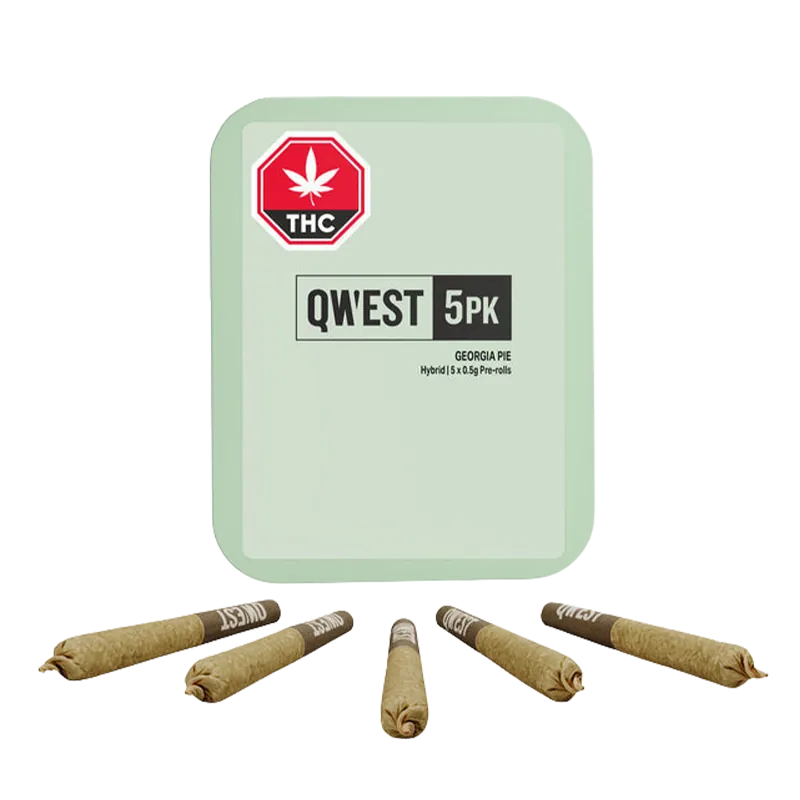 Front view of a pale green tin and five pre-rolled cones fanned out below it, labeled Georgia Pie PR 5 x 0.5 g.