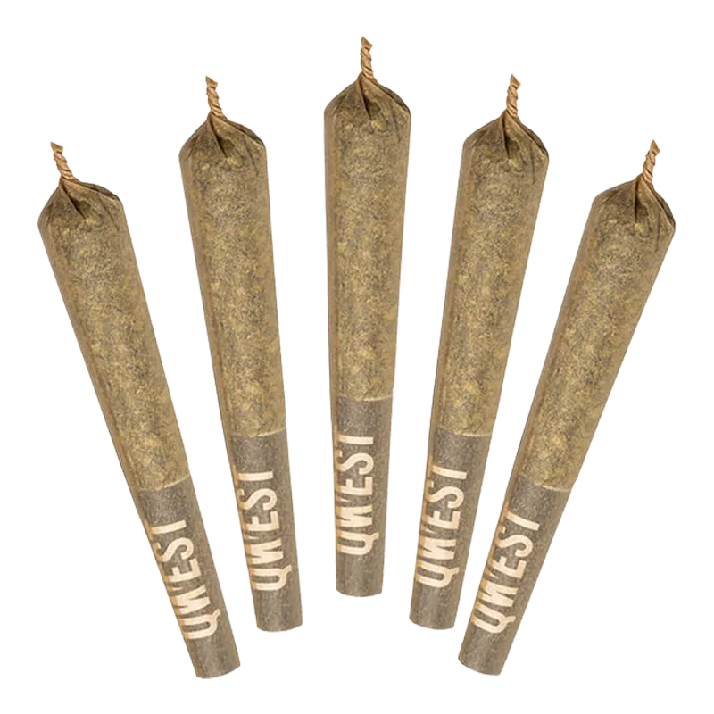 Top-down view of five twisted-tip Georgia Pie PR 5 x 0.5 g pre-rolls fanned on a white background.