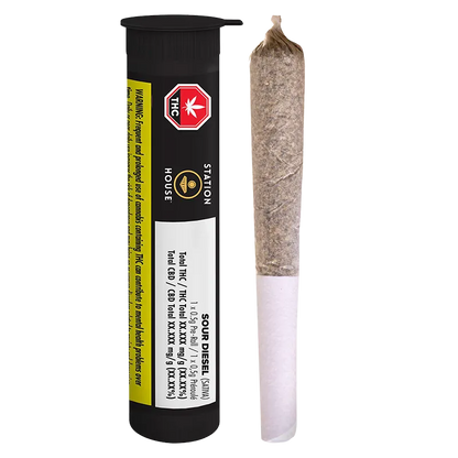 Vertical studio shot of a Station House Sour Diesel PR 1 x 0.5 g pre-roll standing beside its black labeled tube, on a white background.