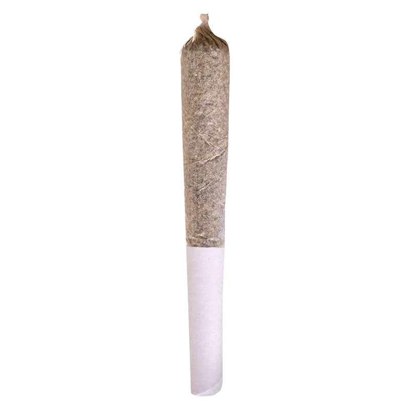 Vertical front view of a pre-rolled joint against a white background, labeled Sour Diesel PR 1 x 0.5 g.