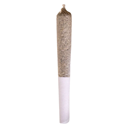 Vertical front view of a pre-rolled joint against a white background, labeled Sour Diesel PR 1 x 0.5 g.