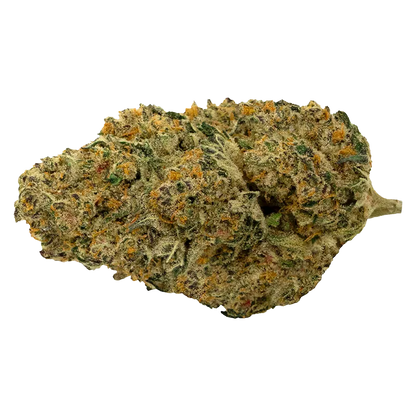 Close-up of a single dense "Cherry Tang" bud shown against a white background, revealing green leaves, orange hairs, and frosty trichomes.