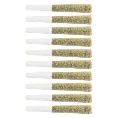 Top-down view of ten uniformly rolled Lemon Gelato PR 10 x 0.5 g joints aligned vertically against a white background.