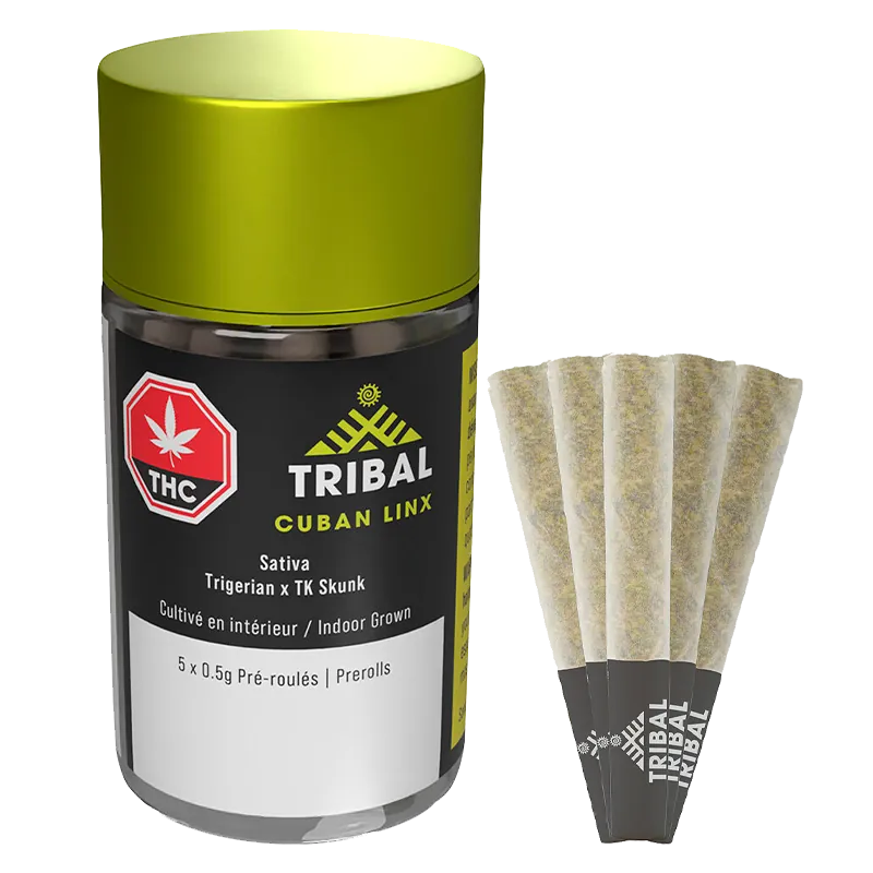 Front-angle shot of a clear jar with a lime-green lid labeled "Tribal Cuban Linx PR 5 x 0.5 g" beside five pre-rolled cones fanned out on a white background.