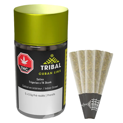 Front-angle shot of a clear jar with a lime-green lid labeled "Tribal Cuban Linx PR 5 x 0.5 g" beside five pre-rolled cones fanned out on a white background.