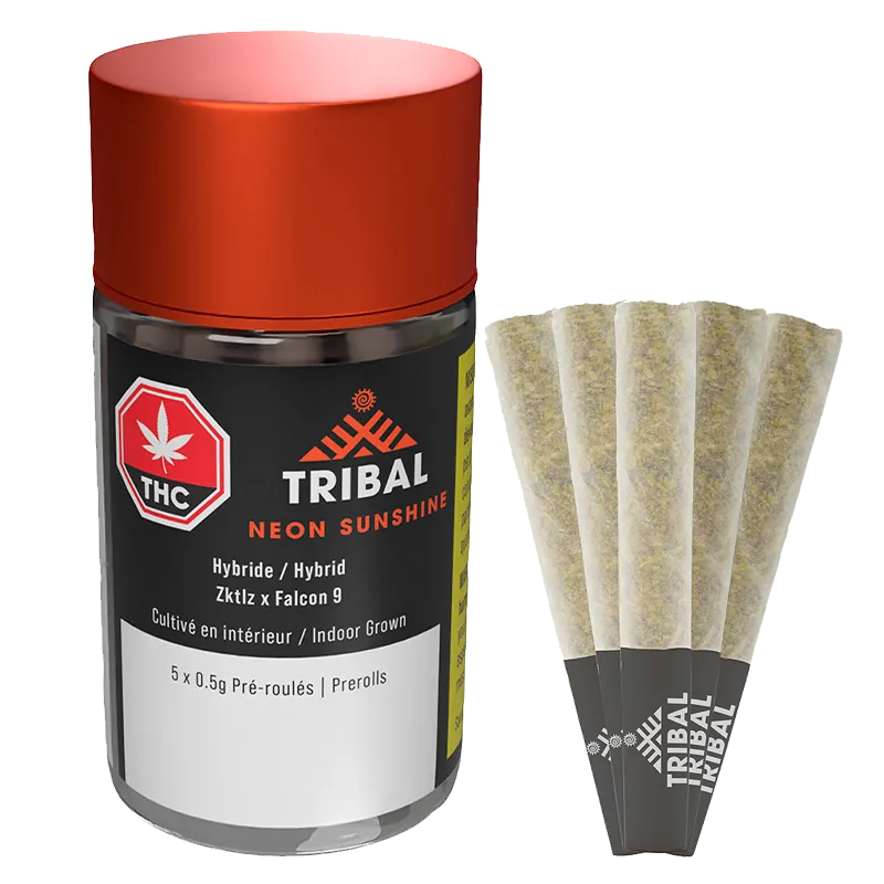 Front-facing shot of the Neon Sunshine PR 5 x 0.5 g Tribal jar with orange lid beside five fanned pre-rolls.