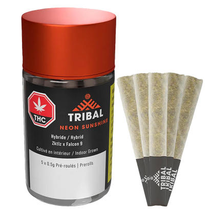 Front-facing shot of the Neon Sunshine PR 5 x 0.5 g Tribal jar with orange lid beside five fanned pre-rolls.