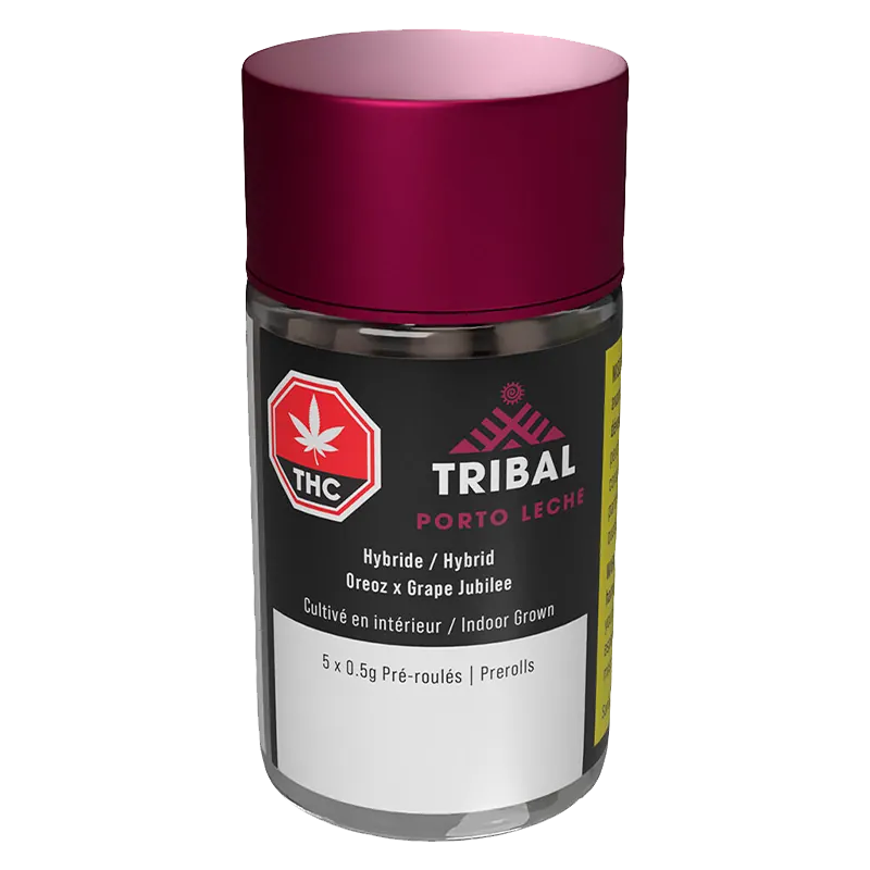 Angled front view of the Tribal Porto Leche PR 5 x 0.5 g clear jar with a magenta lid and black label showing THC and product details