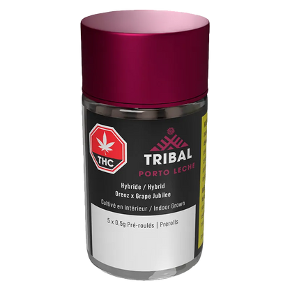 Angled front view of the Tribal Porto Leche PR 5 x 0.5 g clear jar with a magenta lid and black label showing THC and product details