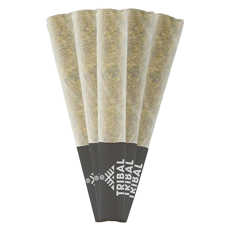 Top-down fan of five pre-rolled cones labeled Porto Leche PR 5 x 0.5 g with dark paper tips against a white background
