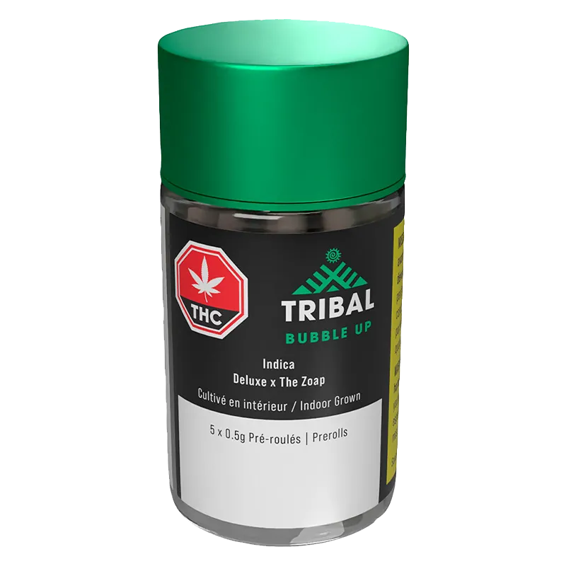 Three-quarter front view of a clear jar with a green lid labeled "Bubble Up PR 5 x 0.5 g" showing the Tribal logo, THC symbol, and product details.