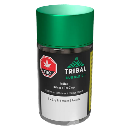 Three-quarter front view of a clear jar with a green lid labeled "Bubble Up PR 5 x 0.5 g" showing the Tribal logo, THC symbol, and product details.