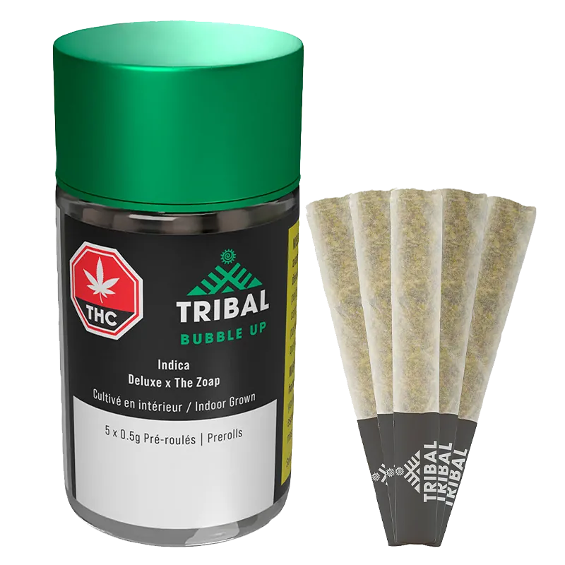 Front-facing jar with a green lid and five cone prerolls fanned beside it, showing the Tribal Bubble Up PR 5 x 0.5 g label and branding.