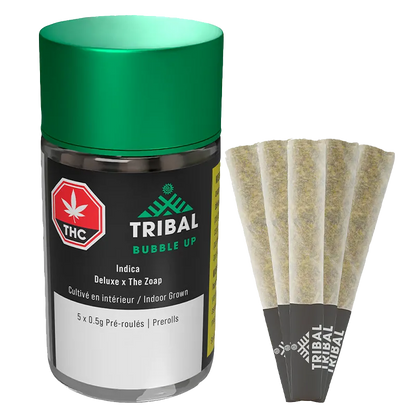 Front-facing jar with a green lid and five cone prerolls fanned beside it, showing the Tribal Bubble Up PR 5 x 0.5 g label and branding.