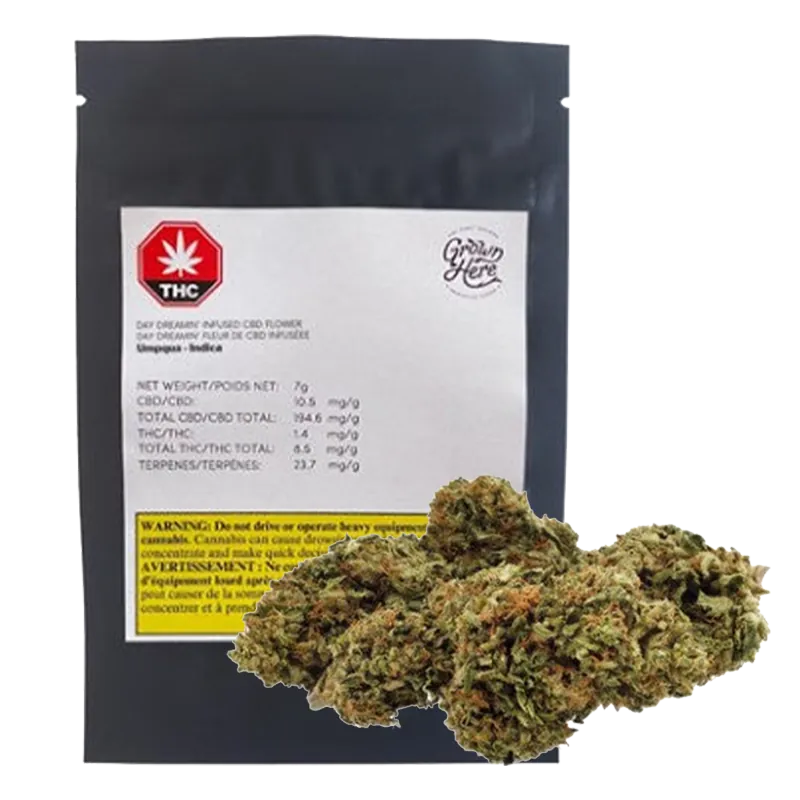 Grown Here Farms 7 g Day Dreamin' Infused CBD Flower Flower