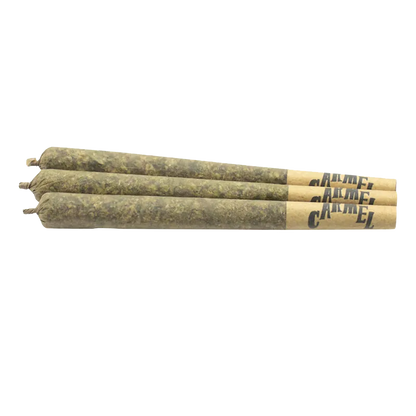 Carmel 1.5 g M.Tai X Jungle Cake PR 3 x 0.5 g Pre-Rolls