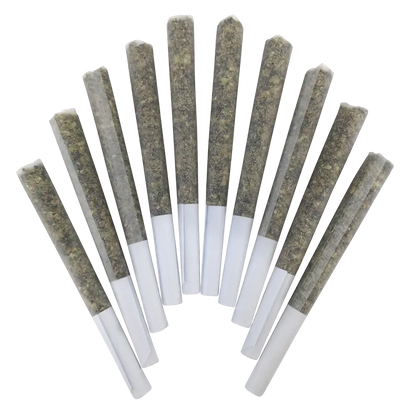 BC Doobies 5 g Pink Pavlova PR 10 x 0.5 g Pre-Rolls