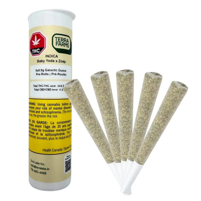 Terra Farms 2.5 g Galactic Guava PR 5 x 0.5 g Pre-Rolls
