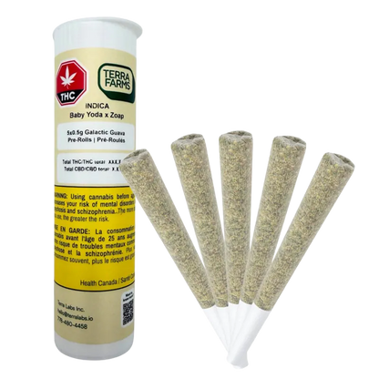Terra Farms 2.5 g Galactic Guava PR 5 x 0.5 g Pre-Rolls