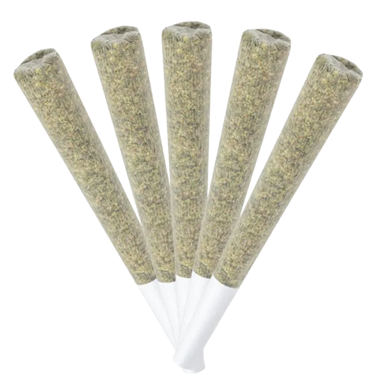 Terra Farms 2.5 g Galactic Guava PR 5 x 0.5 g Pre-Rolls