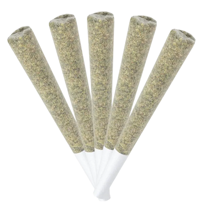 Terra Farms 2.5 g Galactic Guava PR 5 x 0.5 g Pre-Rolls