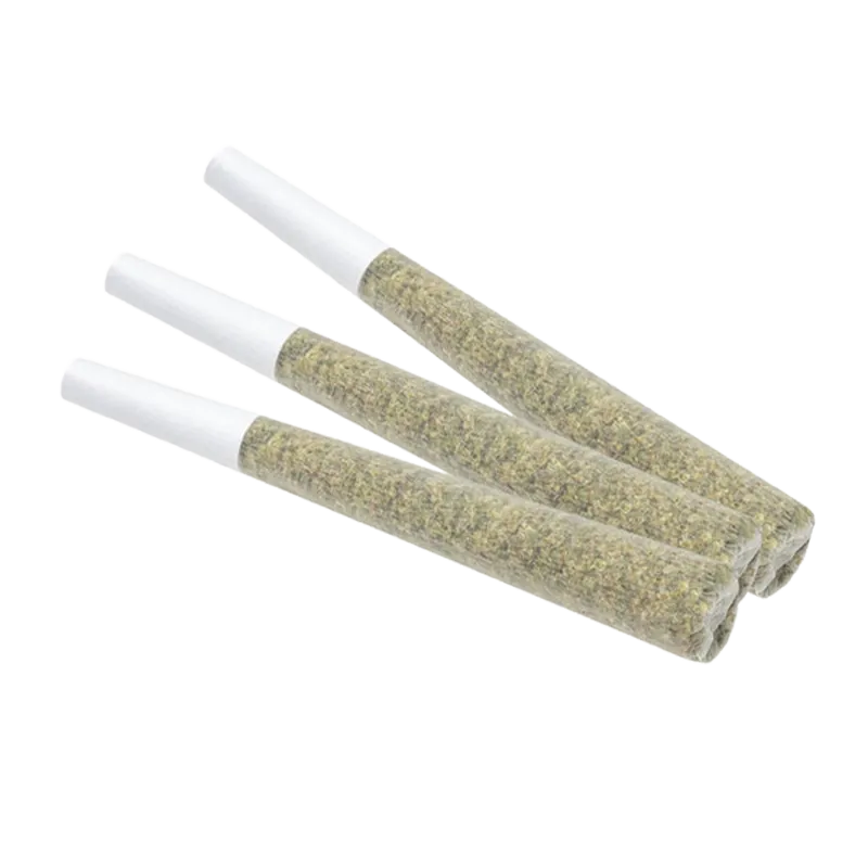 Terra Farms 1.5 g Zesty Parm PR 3 x 0.5 g Pre-Rolls