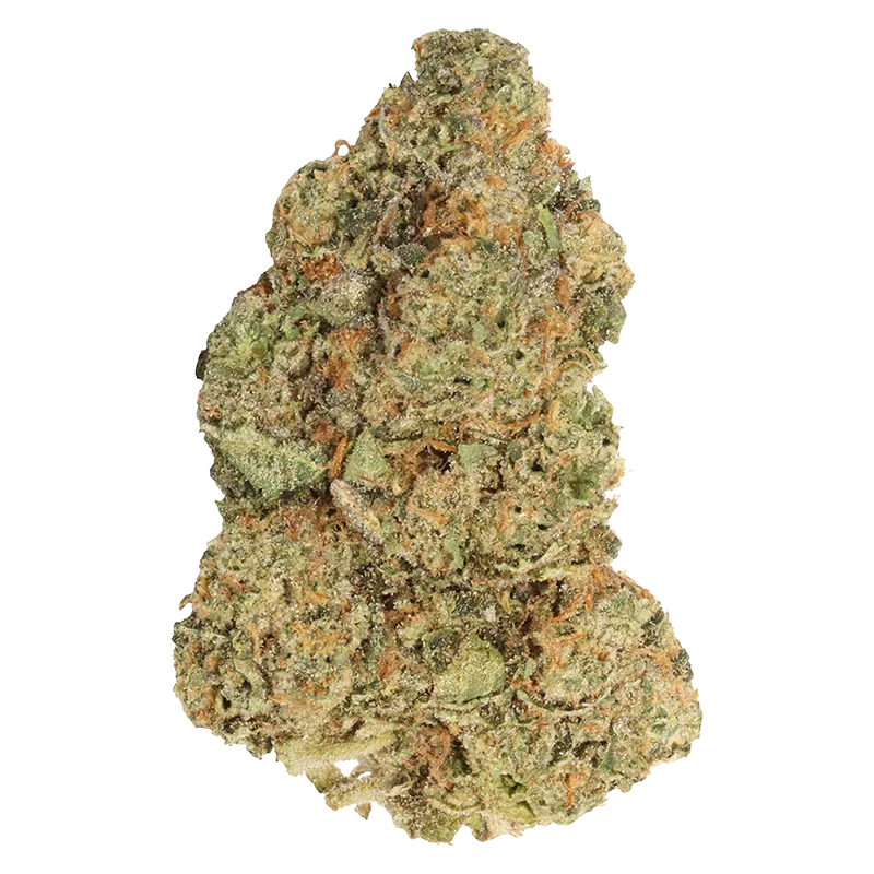 Carmel 7 g Spiked Mai Tai Flower