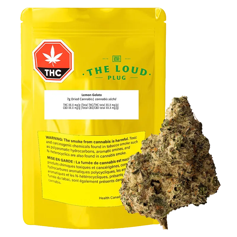 The Loud Plug 7 g Lemon Gelato Flower
