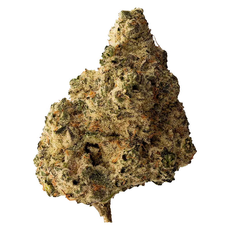The Loud Plug 7 g Lemon Gelato Flower