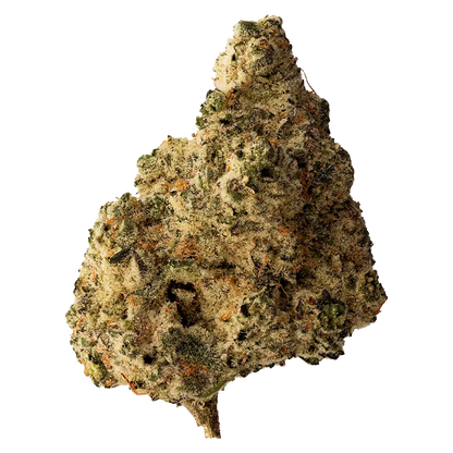 The Loud Plug 7 g Lemon Gelato Flower