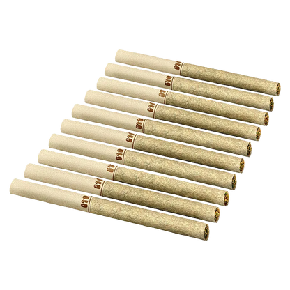 Back Forty 7.5 g Backpackers Golden Tangie PR 10 x 0.75 g Joints