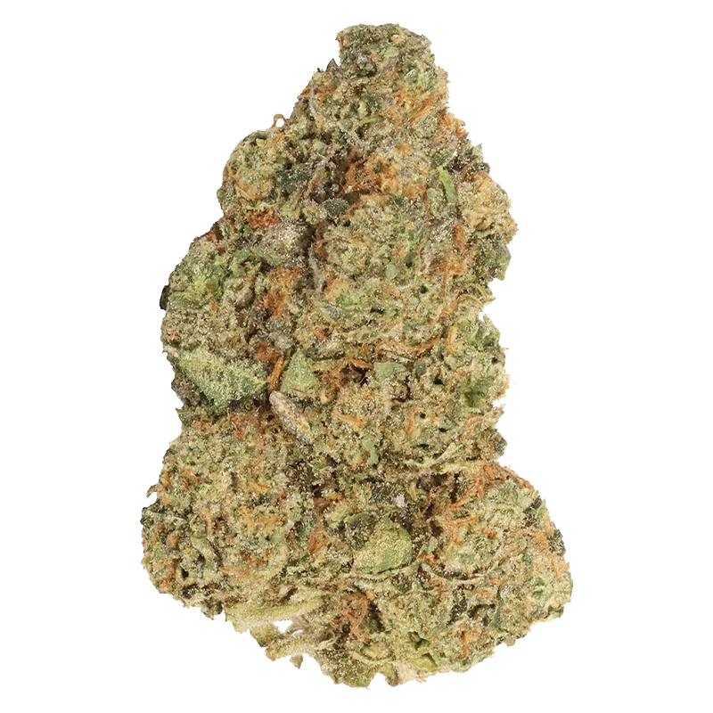 Carmel 7 g Spiked Mai Tai Whole Flower