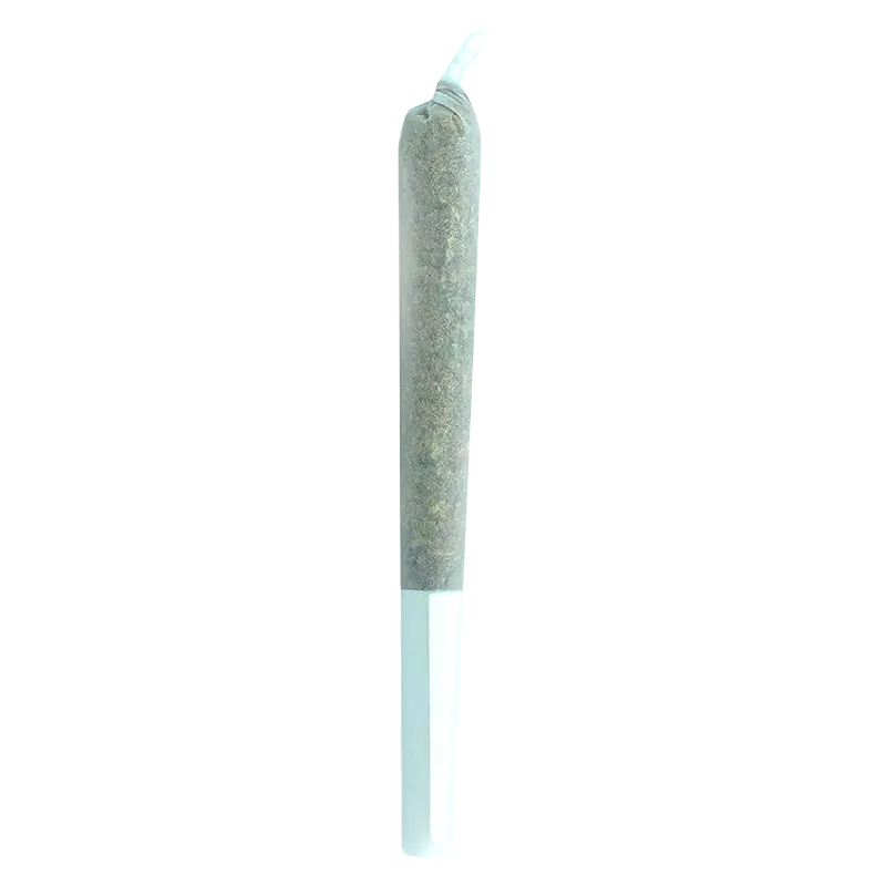 Truro 0.5 g Truffle Treats PR 1 x 0.5 g Pre-Rolls
