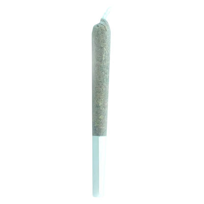 Truro 0.5 g Truffle Treats PR 1 x 0.5 g Pre-Rolls
