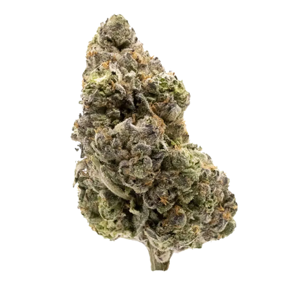 FIGR 28 g Midnight Sherb Flower