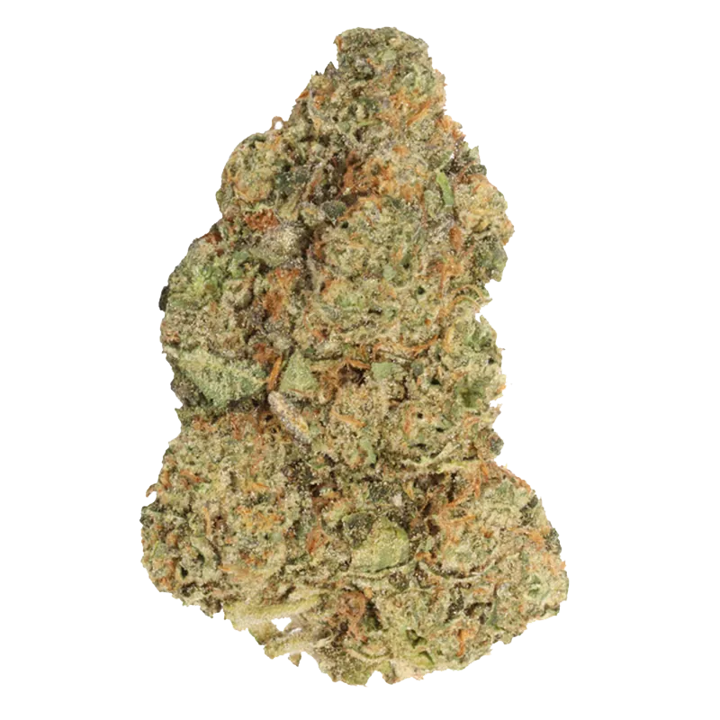 Carmel 3.5 g M.Tai x Jungle Cake Flower