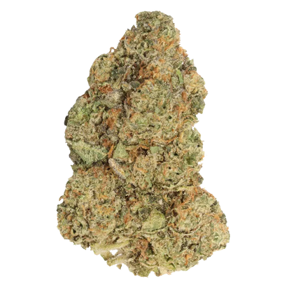 Carmel 3.5 g M.Tai x Jungle Cake Flower